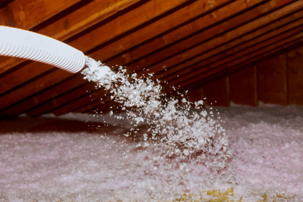 Best Geographic-Specific Insulation Services in Pine Crest, TN